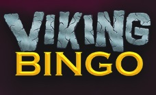 Viking Bingo Online Casino